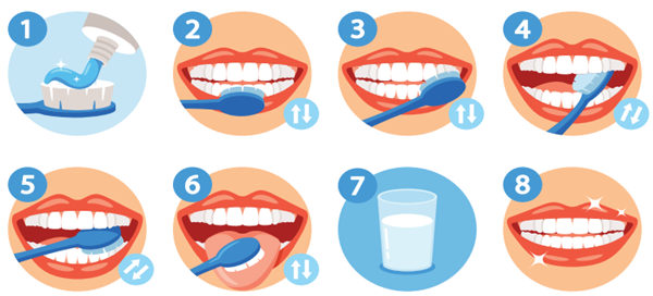 خطوات تنظيف الأسنان