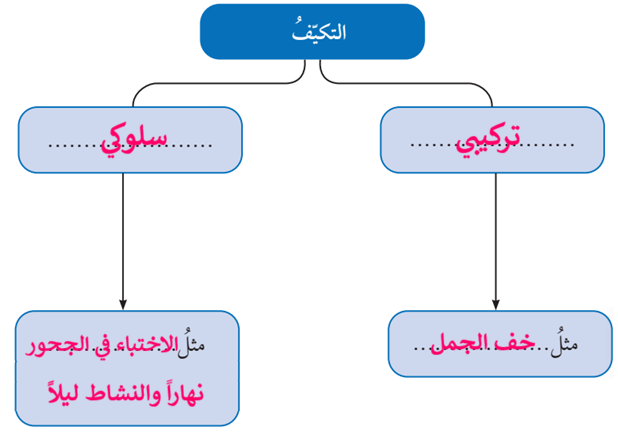 التكيف التكيف