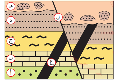 تعاقبات لصخور رسوبية