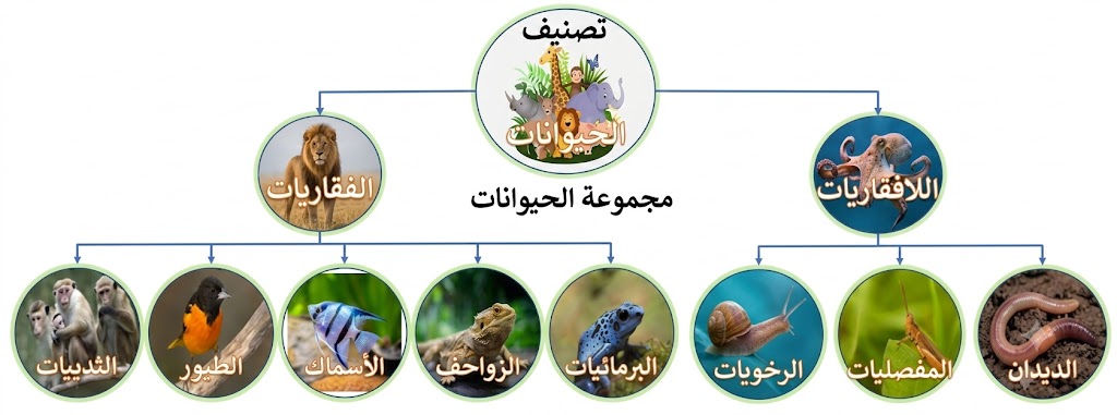 الفقاريات واللافقاريات