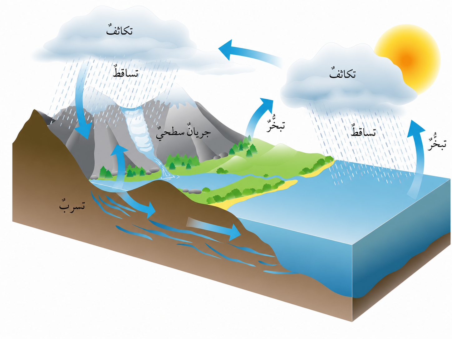 دورة المياه في الطبيعة